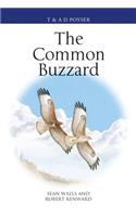 The Common Buzzard