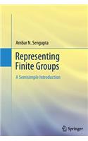 Representing Finite Groups