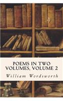 Poems In Two Volumes, Volume 2