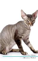 Devon Rex Affirmations Workbook Devon Rex Presents: Positive and Loving Affirmations Workbook. Includes: Mentoring Questions, Guidance, Supporting You.