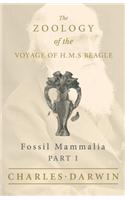 Fossil Mammalia - Part I - The Zoology of the Voyage of H.M.S Beagle; Under the Command of Captain Fitzroy - During the Years 1832 to 1836: Under the Command of Captain Fitzroy - During the Years 1832 to 1836