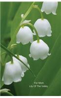 For Mom Lily Of The Valley