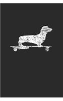 Dachshund On Skateboard