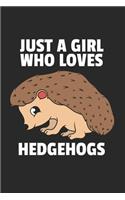 Igel Notizbuch: Igel Notizbuch für Liebhaber / Notizheft / Notizblock A5 (6x9in) Dotted Notebook / Punkteraster / 120 gepunktete Seiten