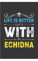 Life Is Better With Echidna: Funny Echidna Lovers Gifts Dot Grid Journal Notebook 6x9 120 Pages