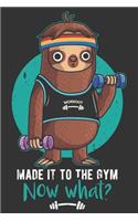 2020 Week To View Dated Planner Diary: 6x9 Inches Paperback Weightlifting Sloth Made It To The Gym Now What