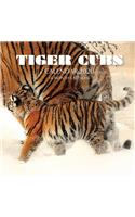 Tiger Cubs Calendar 2020: 16 Month Calendar