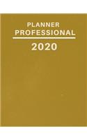planner professional 2020