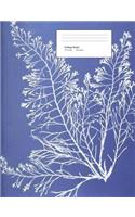Algae Composition Book