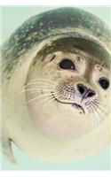 Seal Notebook