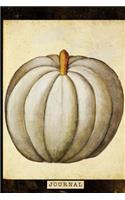 Journal