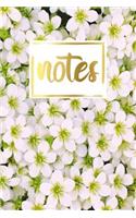 Notes