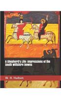 A Shepherd's Life: Impressions of the South Wiltshire Downs