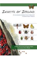 Insects of Ireland