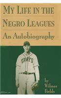 My Life in the Negro Leagues