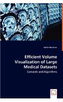 Efficient Volume Visualization of Large Medical Datasets - Concepts and Algorithms