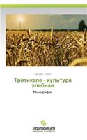Tritikale - kul'tura khlebnaya