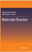 Molecular Beacons