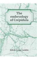 The embryology of Crepidula: (English)