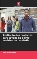 Avaliação dos projectos para jovens no bairro londrino de Lambeth