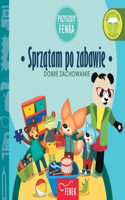 Sprzątam po zabawie