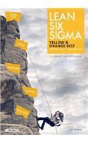 Lean Six Sigma Yellow & Orange Belt