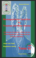Biomagnetismo Cuántico Vs Traumas del Niño Interior Tomo III
