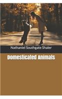 Domesticated Animals