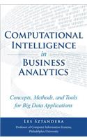 Computational Intelligence in Business Analytics: Concepts, Methods, and Tools for Big Data Applications