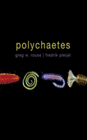 Polychaetes