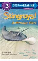 Stingrays! Underwater Fliers