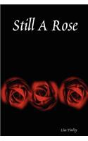 Still a Rose