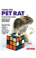 Training Your Pet Rat