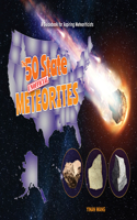 50 State Unofficial Meteorites