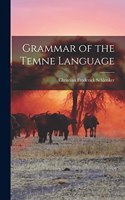 Grammar of the Temne Language