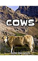 Cows