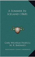 A Summer in Iceland (1868)