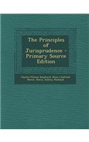 The Principles of Jurisprudence - Primary Source Edition