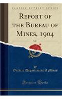 Report of the Bureau of Mines, 1904, Vol. 1 (Classic Reprint)