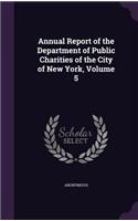 Annual Report of the Department of Public Charities of the City of New York, Volume 5