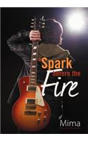 Spark Before the Fire