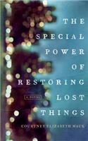 Special Power of Restoring Lost Things