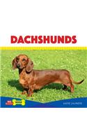 Dachshunds