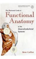 Illustrated Guide to Functional Anatomy of the Musculokeletal System