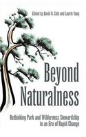 Beyond Naturalness