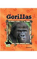 Gorillas