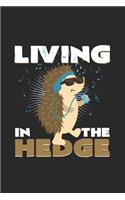 Living in the hedge