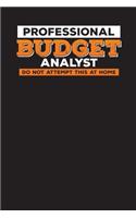 Professional Budget Analyst Do Not Attempt This At Home