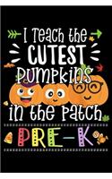 I teach the cutest pumpkins in the patch Pre-K