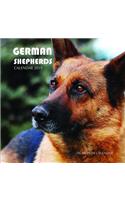 German Shepherds Calendar 2019: 16 Month Calendar